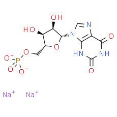 Xanthosine 5'-monophosphate sodium salt