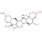 Isoverticine