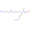 Spermine NONOate