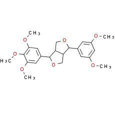 Epimagnolin B