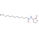 N-dodecanoyl-L-Homoserine lactone