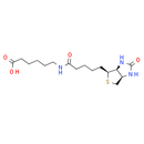 N-Biotinyl-6-aminohexanoic acid