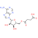Adenosine 5'-succinate