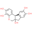 Hematoxylin