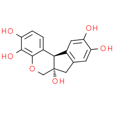 Hematoxylin