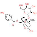 Oxypaeoniflorin