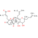 Neogambogic acid
