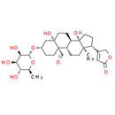 Convallatoxin