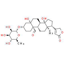 Convallatoxin
