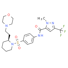 ERDRP-0519