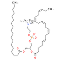 1-Stearoyl-2-eicosapentaenoyl-sn-glycero-3-PC