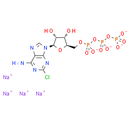 2-Chloroadenosine 5-triphosphate (sodium salt)