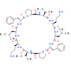 Gramicidin S