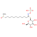 11-(Methylsulfinyl)undecyl-glucosinolate