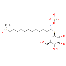 11-(Methylsulfinyl)undecyl-glucosinolate