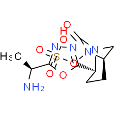Antibacterial agent 35
