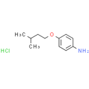 CP-24879 hydrochloride