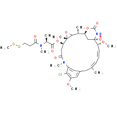 DM1-SMe