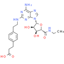 CGS 21680, adenosine A2 receptor agonist.