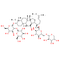 Ginsenoside Rb2, a potent antioxidant with anticancer activities.