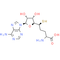 S-Adenosyl-L-homocysteine (SAH)