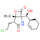 Salinosporamide A (NPI-0052) | CAS