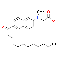 C-Laurdan
