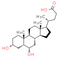 Hyodeoxycholic acid(HDCA) | CAS#: 83-49-8