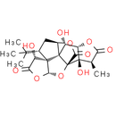 Ginkgolide B | CAS
