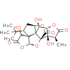 Ginkgolide B | CAS