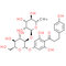 Naringin Dihydrochalcone