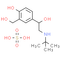 Salbutamol hemisulfate