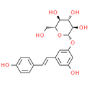 Polydatin(Piceid)