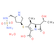 Doripenem monohydrate | CAS