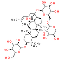Gynostemma Extract - CAS
