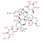 Gynostemma Extract - CAS# 80321-63-7