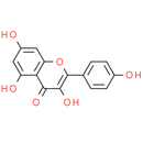 Kaempferol