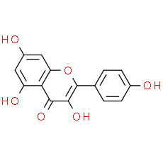 Kaempferol