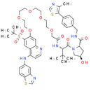 PROTAC RIPK degrader-2