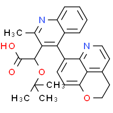 BI 224436