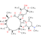 Clarithromycin