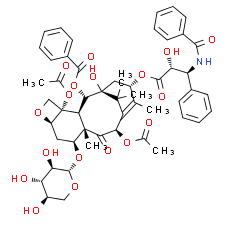 7-xylosyltaxol