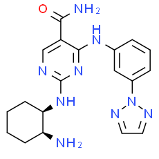 PRT062607