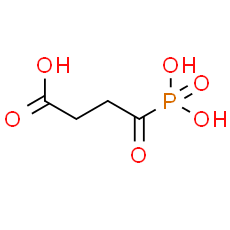 Succinyl phosphonate | CAS: 26647-82-5