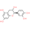 Catechin | CAS#: 154-23-4