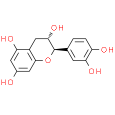 Catechin | CAS