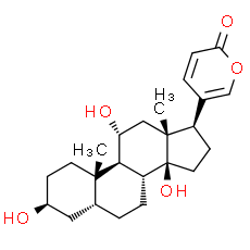 Gamabufotalin