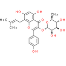 IKarisoside A