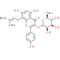 IKarisoside A
