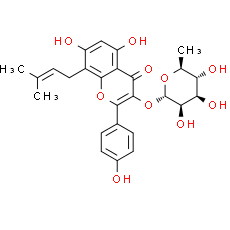IKarisoside A